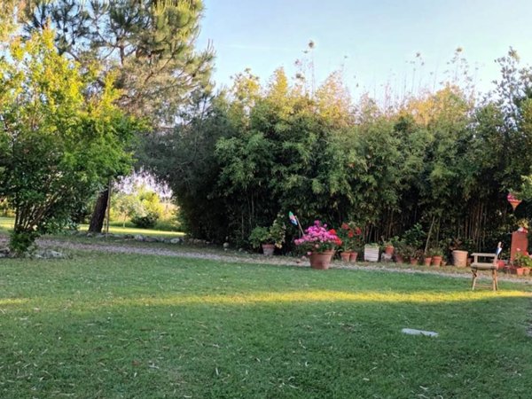 casa indipendente in vendita a Grosseto