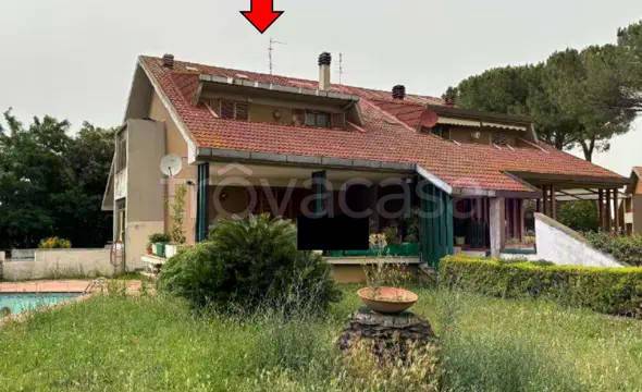 appartamento in vendita a Grosseto in zona Poggio Cavallo