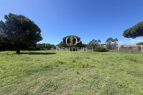 casa indipendente in vendita a Grosseto in zona Marina di Grosseto