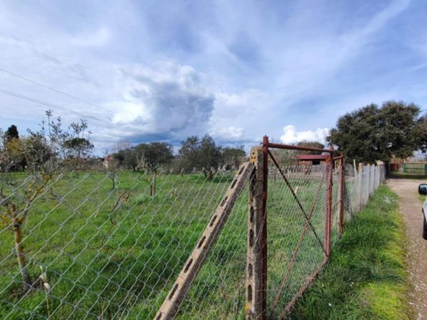 terreno agricolo in vendita a Grosseto