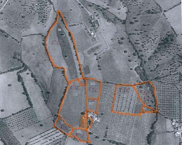 terreno agricolo in vendita a Grosseto in zona Roselle