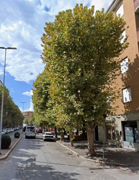 appartamento in vendita a Grosseto