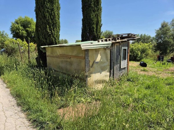 terreno agricolo in vendita a Grosseto