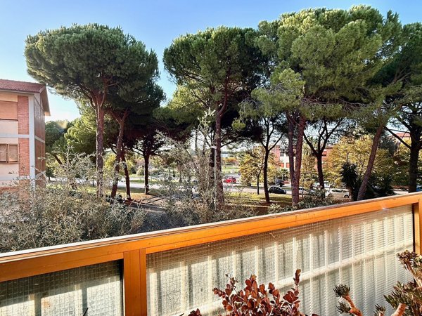 appartamento in vendita a Grosseto