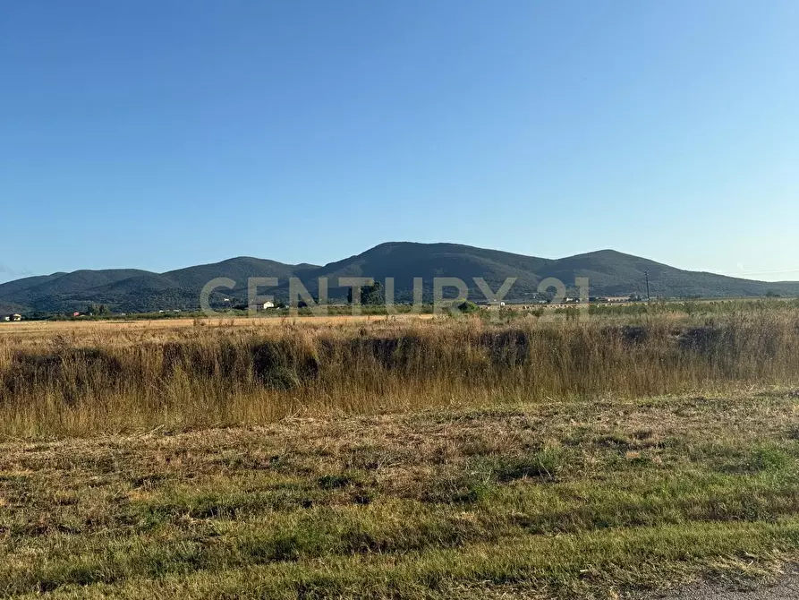 casa indipendente in vendita a Grosseto in zona Alberese
