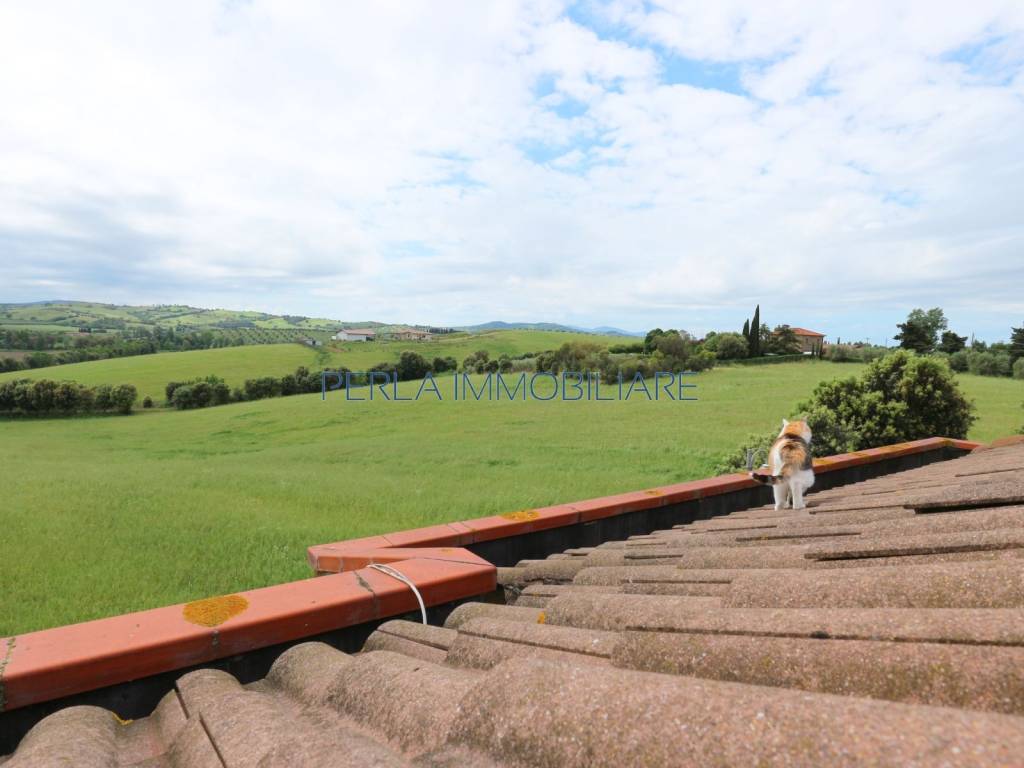 casa indipendente in vendita a Grosseto in zona Istia d'Ombrone-Le Stiacciole