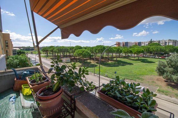 appartamento in vendita a Grosseto