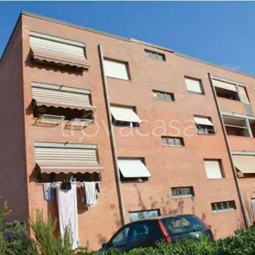 appartamento in vendita a Grosseto