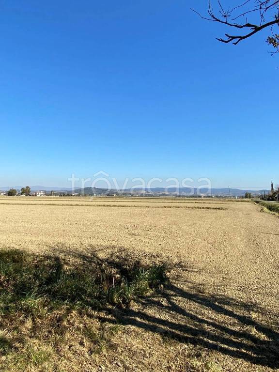 appartamento in vendita a Grosseto in zona Alberese