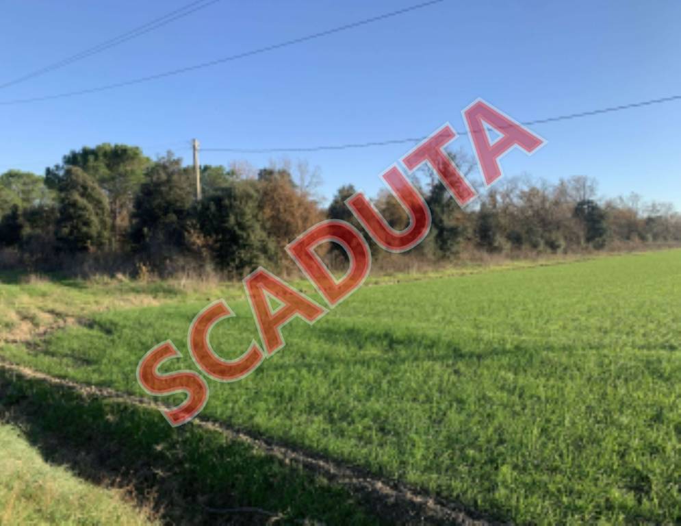 terreno agricolo in vendita a Grosseto in zona La Principina