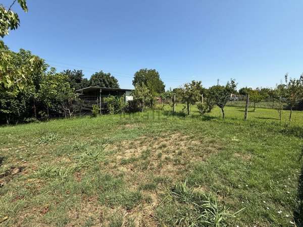 terreno agricolo in vendita a Grosseto in zona Centro Città
