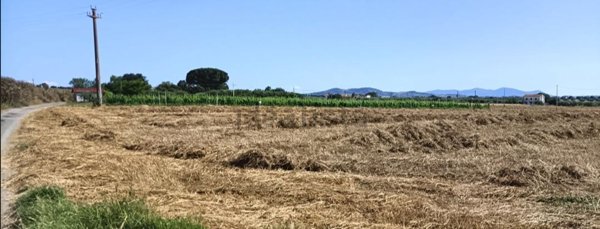terreno agricolo in vendita a Grosseto in zona Roselle