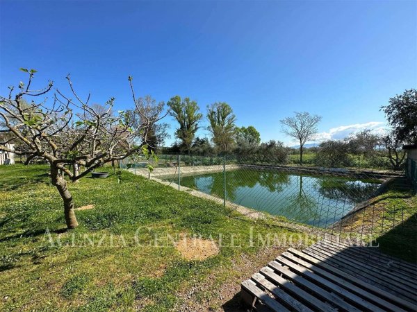 terreno agricolo in vendita a Grosseto