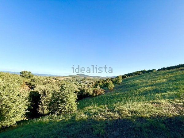 terreno agricolo in vendita a Grosseto in zona Istia d'Ombrone-Le Stiacciole