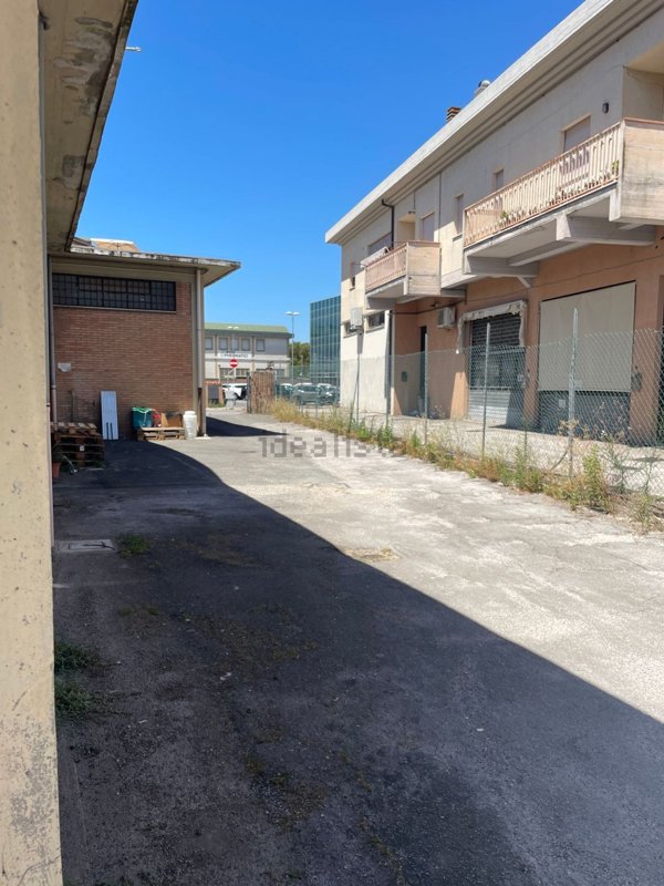 negozio in vendita a Grosseto