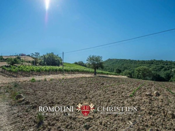 casa indipendente in vendita a Grosseto