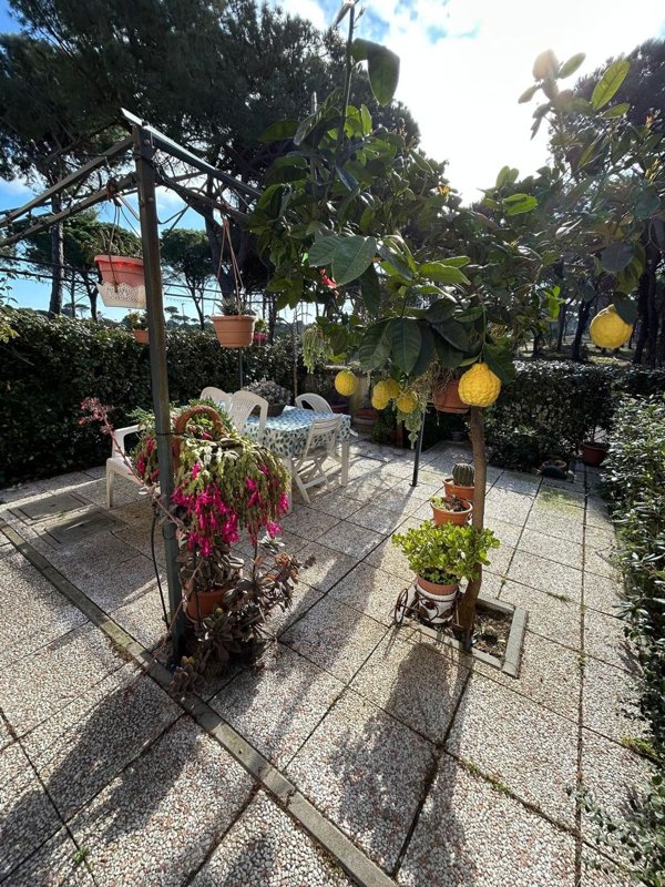 appartamento in vendita a Grosseto in zona Marina di Grosseto