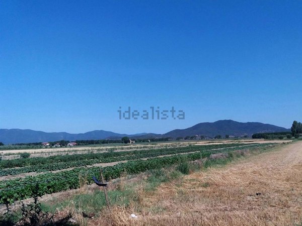 quadrivano in vendita a Grosseto in zona Principina a Terra
