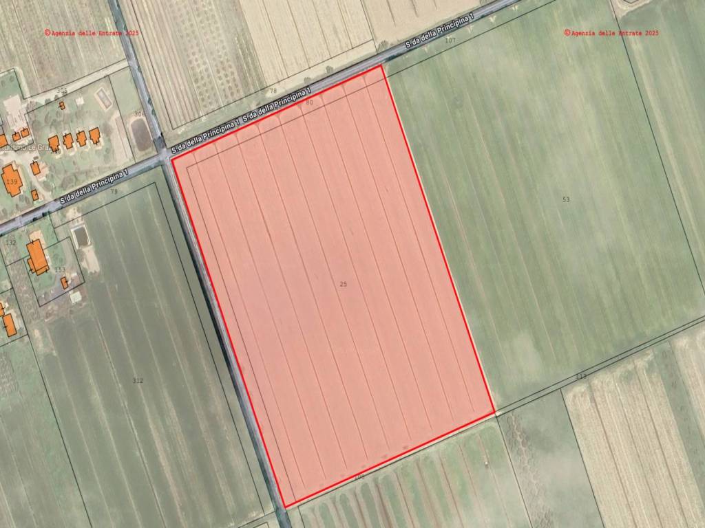 terreno agricolo in vendita a Grosseto in zona La Principina