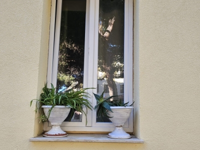 appartamento in vendita a Grosseto