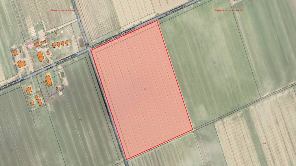 terreno agricolo in vendita a Grosseto in zona La Principina