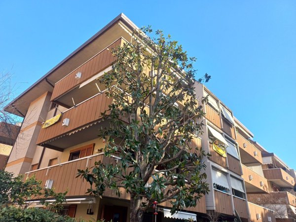 appartamento in vendita a Grosseto