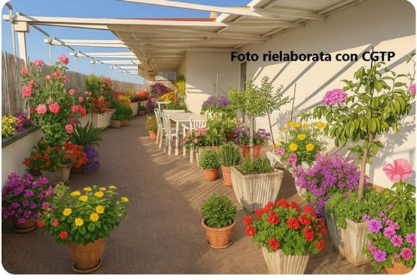 appartamento in vendita a Grosseto