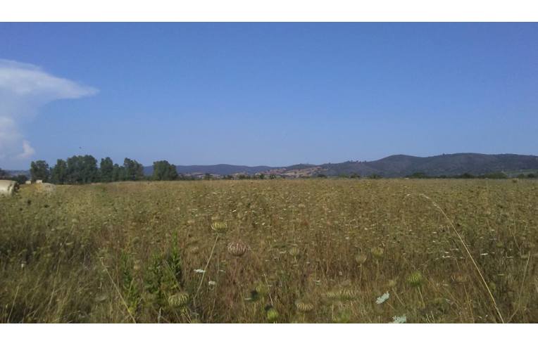 terreno agricolo in vendita a Grosseto in zona Alberese