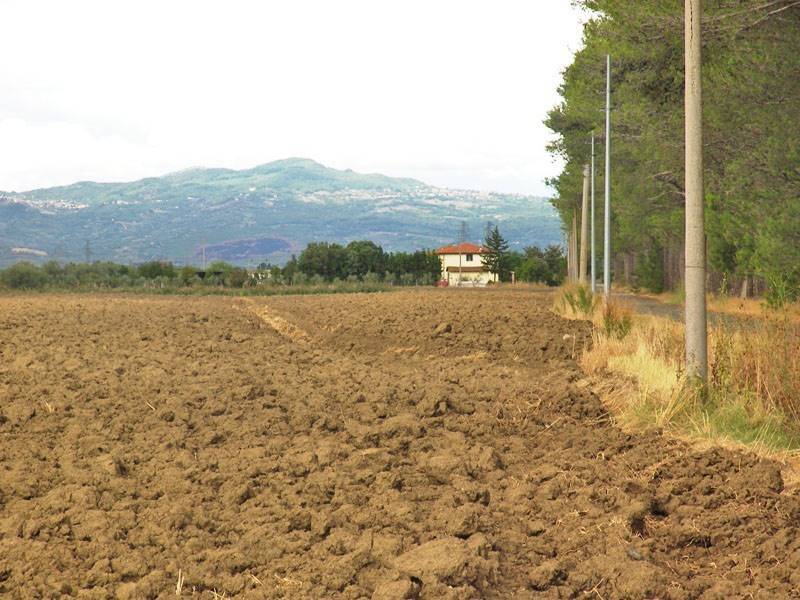 terreno agricolo in vendita a Grosseto in zona Braccagni