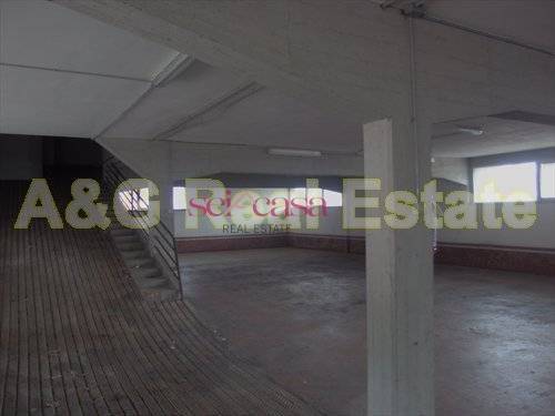 negozio in vendita a Grosseto