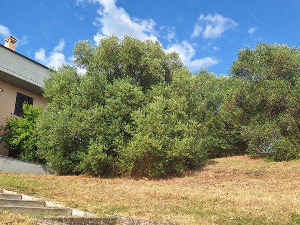 appartamento in vendita a Grosseto