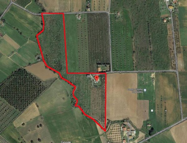 azienda agricola in vendita a Grosseto