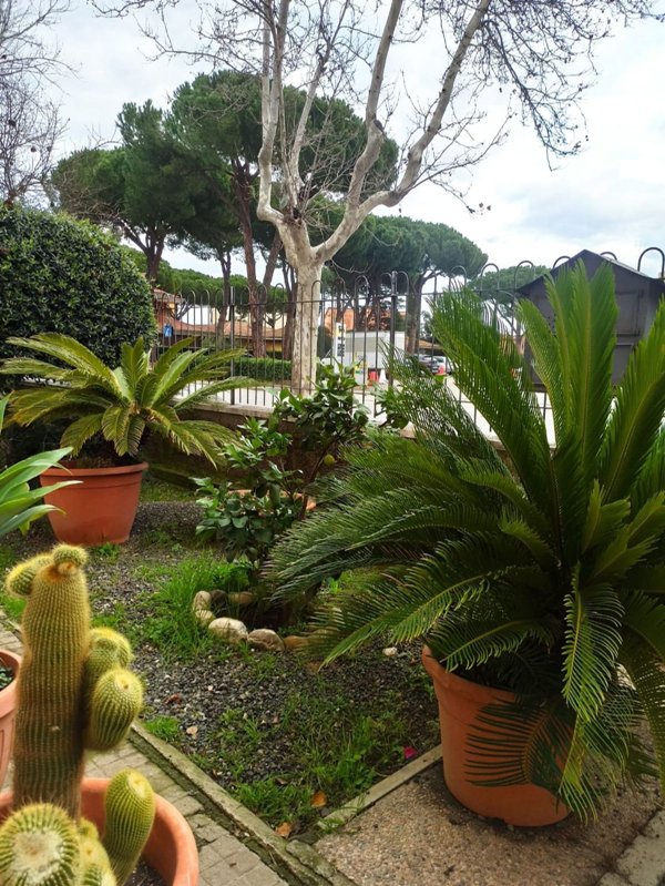 appartamento in vendita a Grosseto