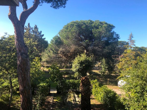 casa indipendente in vendita a Grosseto in zona Principina a Mare