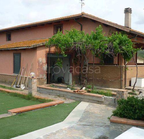 casa indipendente in vendita a Grosseto in zona La Principina