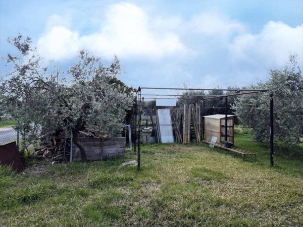 terreno agricolo in vendita a Grosseto