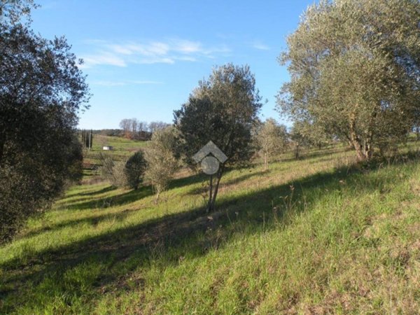 terreno agricolo in vendita a Grosseto