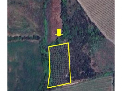 locale di sgombero in vendita a Grosseto