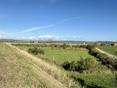 terreno agricolo in vendita a Grosseto in zona Alberese