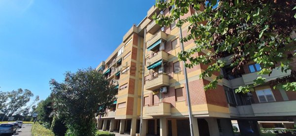 appartamento in vendita a Grosseto