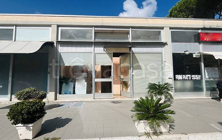 negozio in vendita a Grosseto