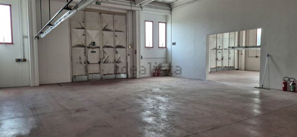 capannone in vendita a Grosseto