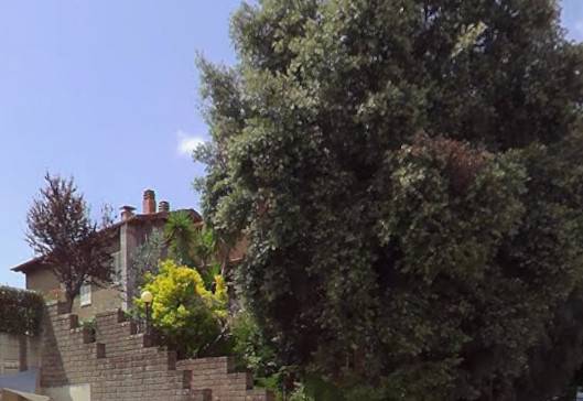 casa indipendente in vendita a Grosseto in zona Istia d'Ombrone-Le Stiacciole