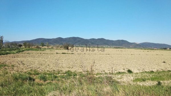 casa indipendente in vendita a Grosseto