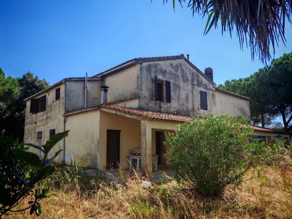 esavano in vendita a Grosseto