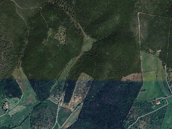 terreno agricolo in vendita a Grosseto