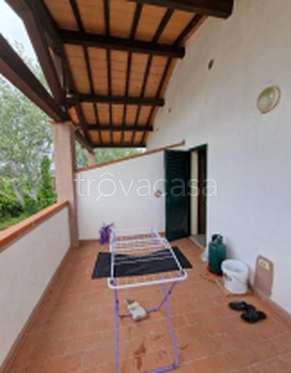 negozio in vendita a Grosseto in zona La Principina