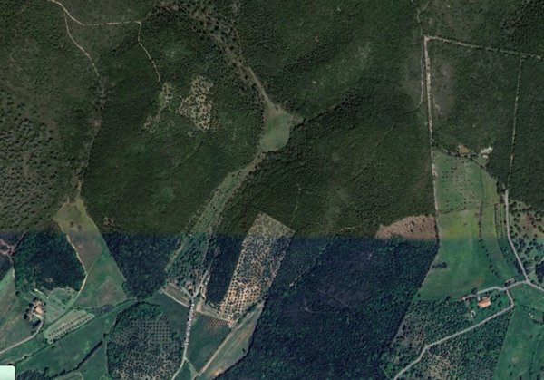 terreno agricolo in vendita a Grosseto