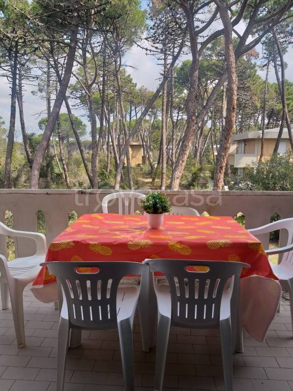 appartamento in vendita a Grosseto in zona La Principina