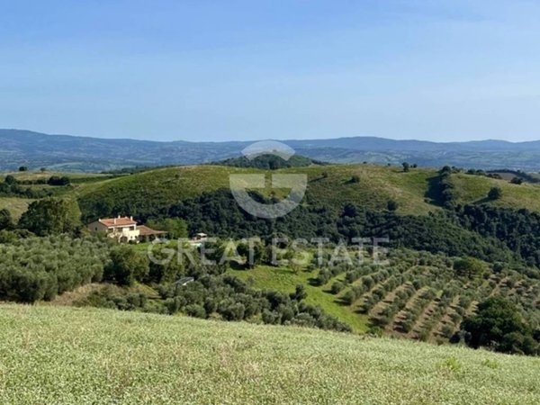 casa indipendente in vendita a Grosseto